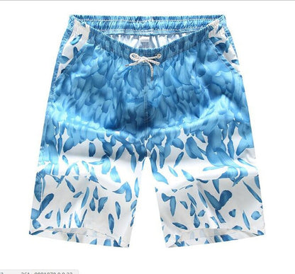 Men's Quick-Dry Printed Swimming Trunks