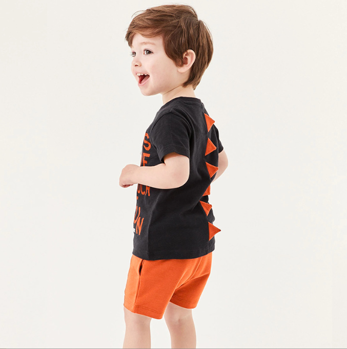 Boy's Short Sleeve Dinosaur Shorts Set