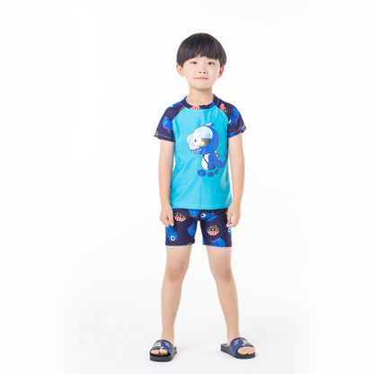 Boy's Dinosaur Print Swimwear Set