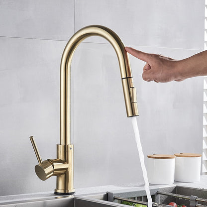 Stainless Steel Pull-Out Kitchen Faucet