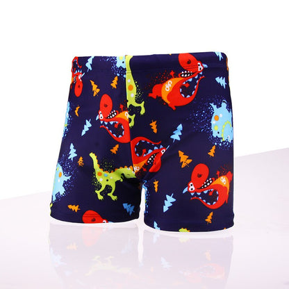 Boy's Quick-Drying Swim Trunks