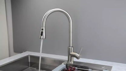 Stainless Steel Pull-Out Kitchen Faucet