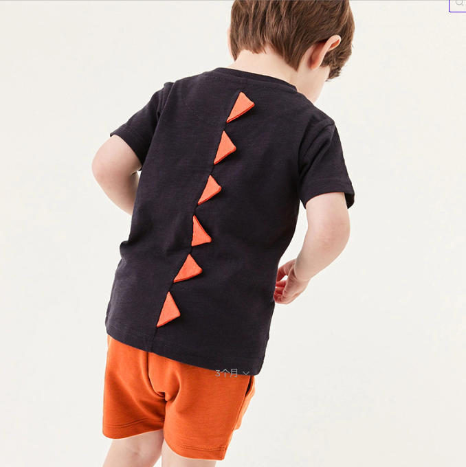 Boy's Short Sleeve Dinosaur Shorts Set