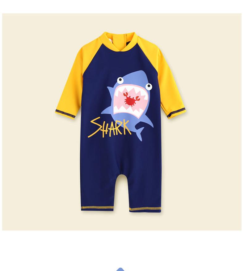 Boy's One-Piece Swimsuit