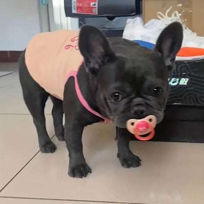 Pet's Silicone Pacifier